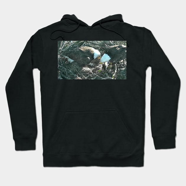 US Bald Eagles - Our National Bird VII Hoodie by zwrr16